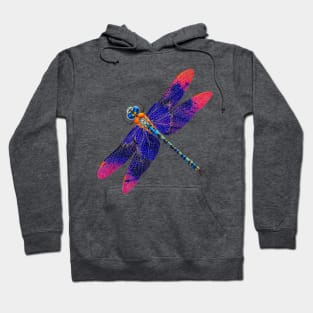 Dragonfly Divine Hoodie